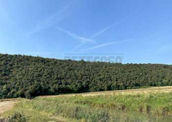 IMG-20231005-WA0035.jpg - Agricultural land via san rocco, Arcugnano - photo 10