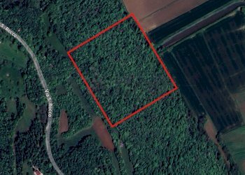 Immagine 2024-07-31 153259.png - Agricultural land via san rocco, Arcugnano - photo 4