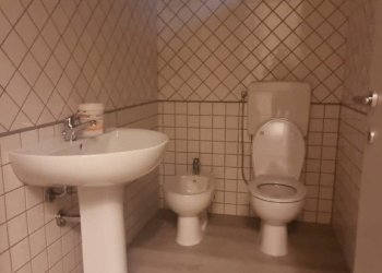 Capannone Reggio nell'Emilia - foto 12