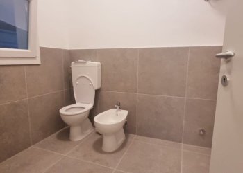 Capannone Reggio nell'Emilia - foto 13