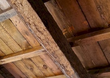 Negozio Ferrara - foto 11