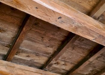 Negozio Ferrara - foto 12