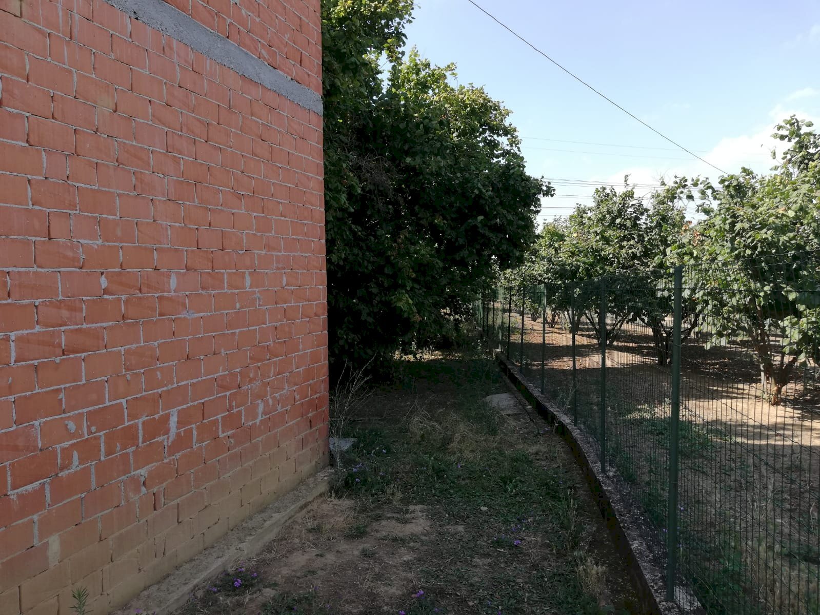 Rustico Carrù - foto 3