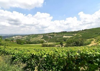 Rustico via Cottà, Neive - foto 6