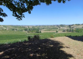 Casa indipendente Asti - foto 8