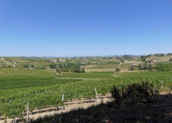 Casa indipendente Asti - foto 9