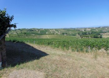 Casa indipendente Asti - foto 13