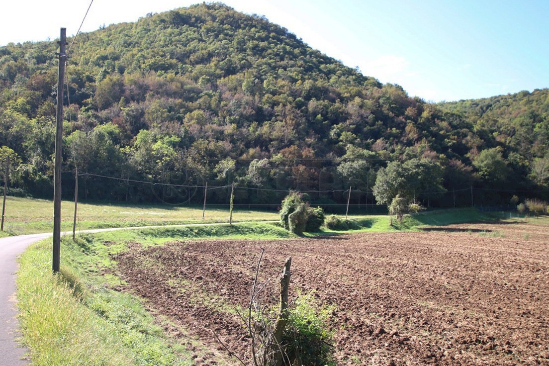 IMG_2542.JPG - Agricultural land Arcugnano - photo 2