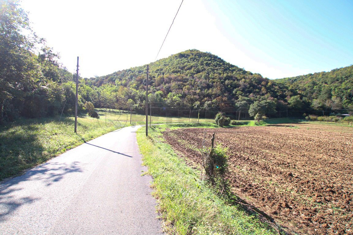 IMG_2545.JPG - Agricultural land Arcugnano - photo 3