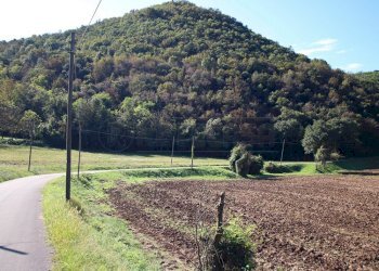 IMG_2547.JPG - Agricultural land Arcugnano - photo 1