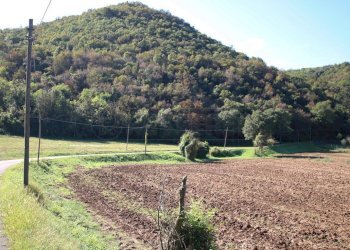 IMG_2542.JPG - Agricultural land Arcugnano - photo 2