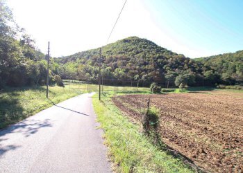 IMG_2545.JPG - Agricultural land Arcugnano - photo 3