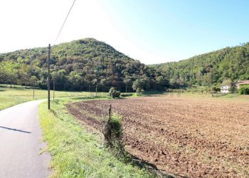 IMG_2543.JPG - Agricultural land Arcugnano - photo 4