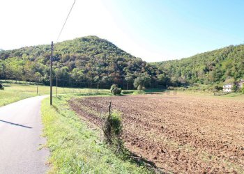 IMG_2544.JPG - Agricultural land Arcugnano - photo 5