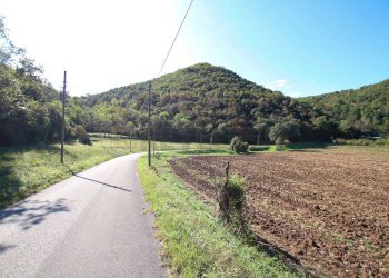 IMG_2546.JPG - Agricultural land Arcugnano - photo 6