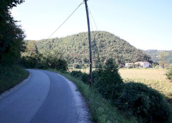 IMG_2541.JPG - Agricultural land Arcugnano - photo 7