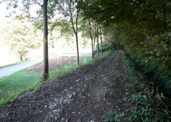 IMG_2548.JPG - Agricultural land Arcugnano - photo 8