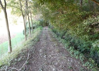 IMG_2549.JPG - Agricultural land Arcugnano - photo 9