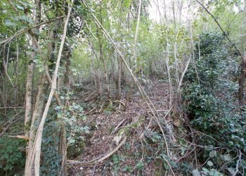 IMG_2550.JPG - Agricultural land Arcugnano - photo 10