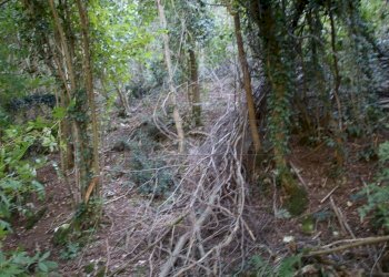 IMG_2554.JPG - Agricultural land Arcugnano - photo 14