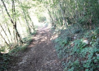 IMG_2559.JPG - Agricultural land Arcugnano - photo 19