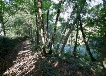 IMG_2563.JPG - Agricultural land Arcugnano - photo 23