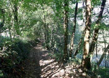 IMG_2566.JPG - Agricultural land Arcugnano - photo 26