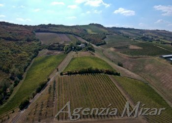 Villa Imola - foto 3