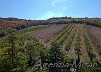 Villa Imola - foto 6