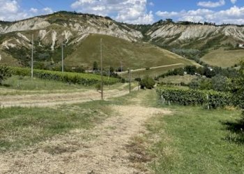 Villa Imola - foto 17