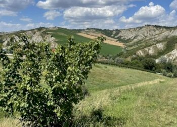 Villa Imola - foto 19