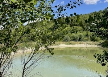 Villa Imola - foto 20