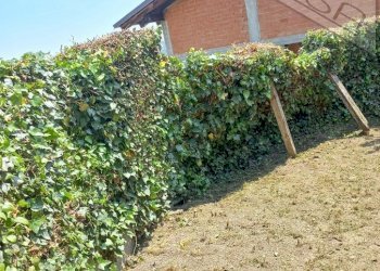 Rustico Via Canavera snc, Bagnolo Piemonte - foto 8