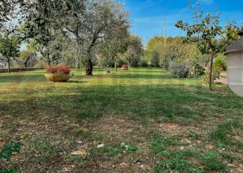 F425EF3D-452E-417A-9C23-A7EAFE7DB865.jpeg - Casale Jesi - foto 2