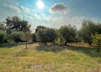 37BAB393-C504-406D-8921-F01E407F6FFB.jpeg - Casale Jesi - foto 19