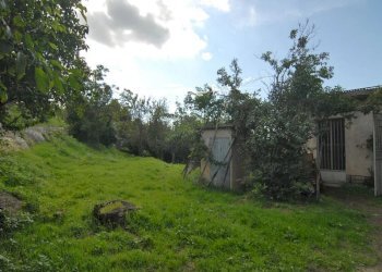 Farmhouse Clavesana - photo 15