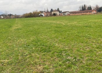 Terreno agricolo Garessio - foto 5