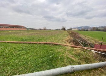 Terreno agricolo Garessio - foto 7