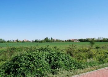 Building land Rivalta di Torino - photo 2