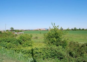 Building land Rivalta di Torino - photo 3