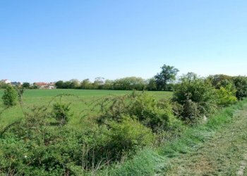 Building land Rivalta di Torino - photo 13
