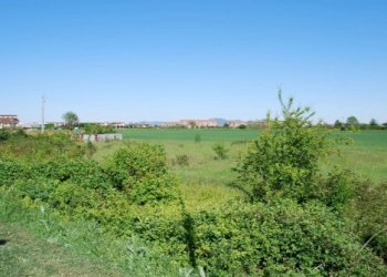 Building land Rivalta di Torino - photo 14