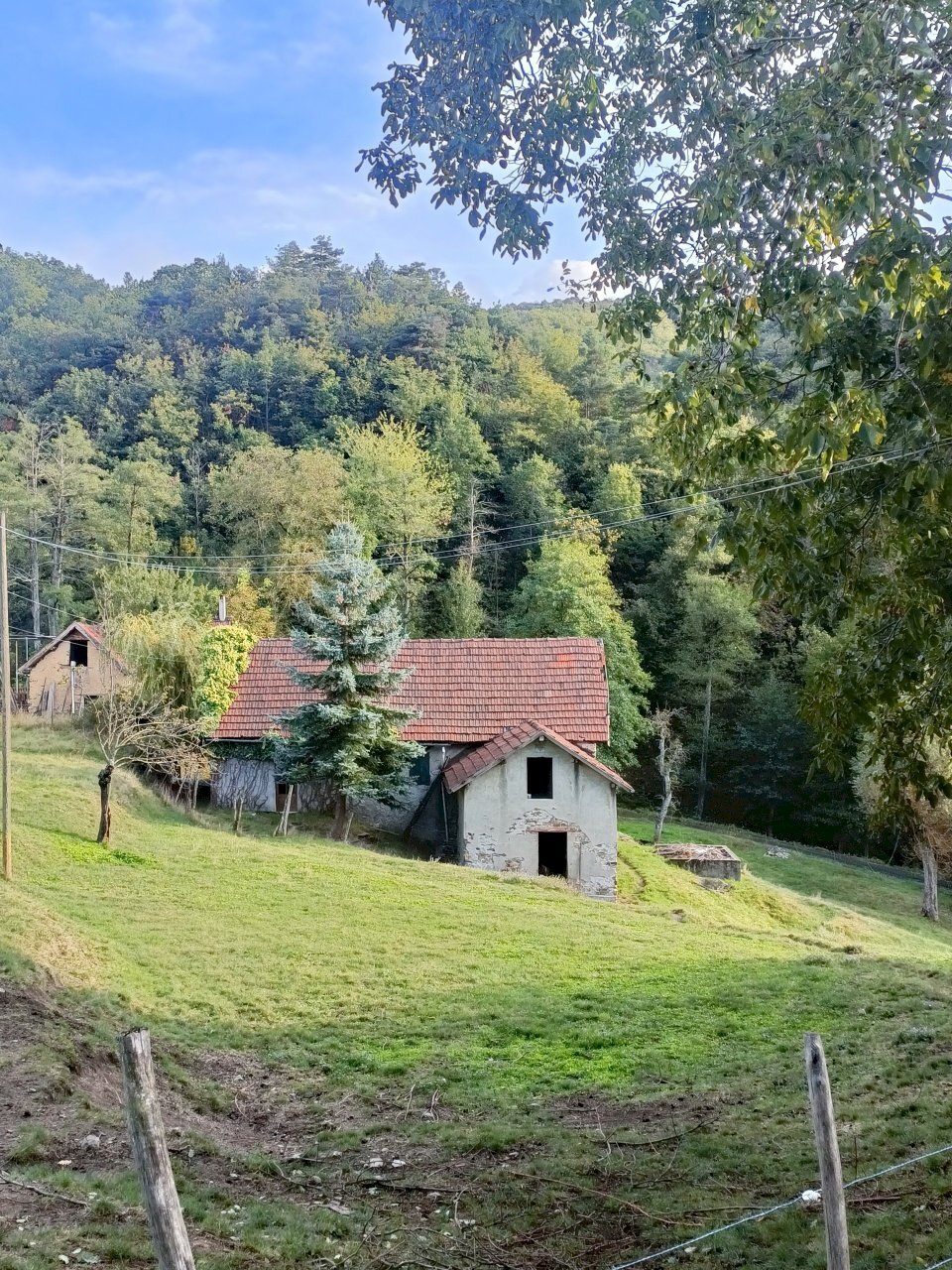 IMG20230921180134.jpg - Rustico Via patane 1, Sassello - foto 2