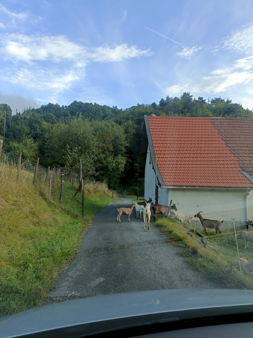 IMG20230921181040.jpg - Rustico Via patane 1, Sassello - foto 3