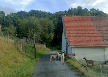 IMG20230921181040.jpg - Rustico Via patane 1, Sassello - foto 3