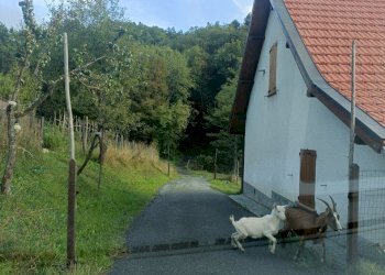 IMG20230921181045.jpg - Rustico Via patane 1, Sassello - foto 4