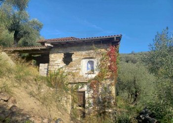 rustico - Agricultural land Dolceacqua - photo 1