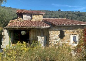 rustico - Agricultural land Dolceacqua - photo 5
