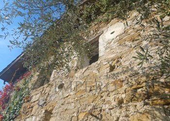 rustico - Agricultural land Dolceacqua - photo 7