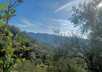 vista - Agricultural land Dolceacqua - photo 8